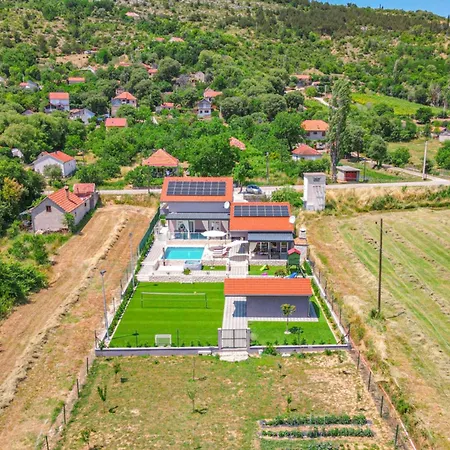 Branka Drniš